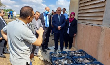 رئيس جامعة بنها: نتبنى نموذج الجامعة المنتجة لتعزيز استدامة الموارد