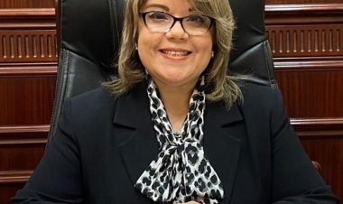 تفاصيل تقرير الشيوخ بشأن قانون إنشاء المجلس الأعلى للسيارات