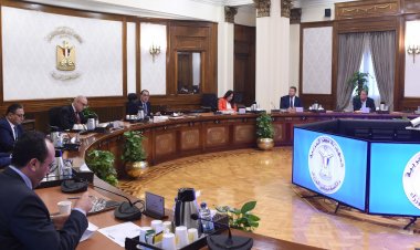 رئيس الوزراء : نستهدف التوسع في تصدير العقار المصري والوصول لـ«خريطة طريق»