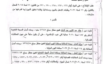 تجاوزت 4 مليارات جنيه.. قاضي تفليسة 19011 يصدر قائمة الديون النهائية