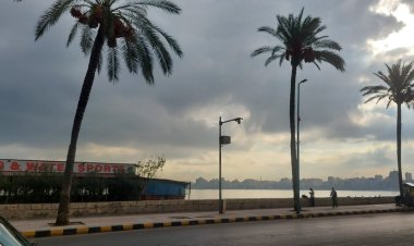 سقوط أمطار خفيفة على الإسكندرية