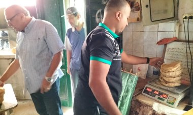 تموين الإسكندرية: حملات فجرية على المخابز البلدية وغلق 4 مخالفة للقوانين