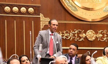 مجلس الشيوخ يوافق على مقترح نائب التنسيقية بتعديل قانون الأعلى للسيارات