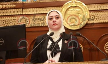 لهذا السبب.. برلمانية تطالب بتعديل مشروع قانون إنشاء المجلس الأعلى لصناعة السيارات