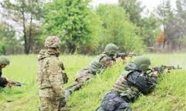 عاجل.. الاتحاد الأوروبي يدرب حوالى 15 ألف جندي أوكراني
