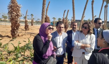 «الكيلاني» تتابع استعدادات وزارة الثقافة للمشاركة في «كوب 27»