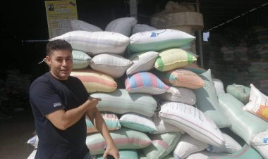 تموين كفر الشيخ: استلام الأرز الشعير خلال الموسم الحالي في 21 موقعا