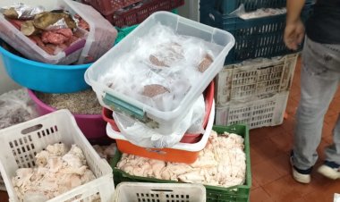 ضبط 21 طن لحوم غير صالحة للاستهلاك الآدمي بالجيزة