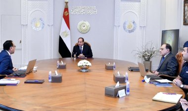 الرئيس السيسي يتابع تطورات الموقف التنفيذي للمشروع القومي للإنتاج الزراعي «مستقبل مصر»