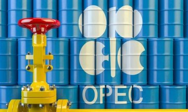 تراجع سعر سلة خامات «أوبك» 3 دولارات و10 سنتات