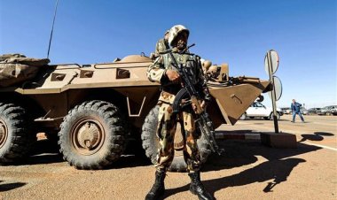 الجيش الجزائري يضبط عناصر دعم للجماعات الإرهابية ومهاجرين غير شرعيين