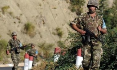 الجيش الجزائري يضبط عناصر دعم للجماعات الإرهابية ومهاجرين غير شرعيين