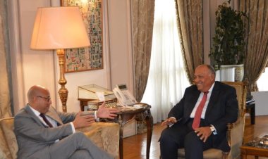 سامح شكري يستقبل السكرتير التنفيذي لاتفاقية الأمم المتحدة الإطارية لتغير المناخ