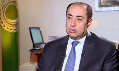 حسام زكي يؤكد الثوابت العربية إزاء القضية الفلسطينية