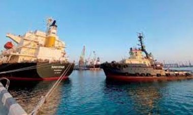 6 سفن محملة بالحبوب تغادر الموانئ الأوكرانية