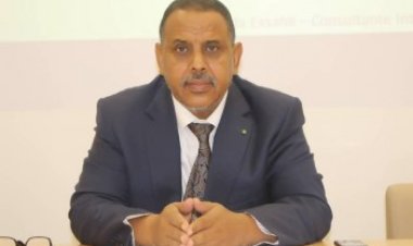 مسئول موريتانى: الدولة المصرية لعبت دورا مهما فى مواجهة تغيير المناخ