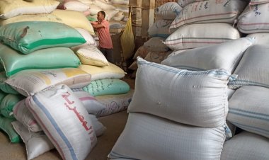 ضبط 50 طن أرز شعير بحوزت شخص بغرض حجبهم عن السوق