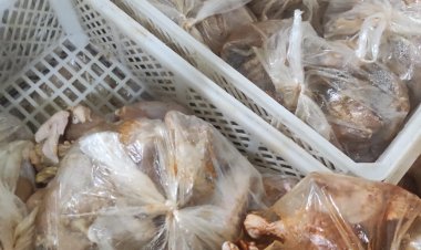 تحرير 36 محضرا تموينيا وضبط لحوم وأسماك مجهولة المصدر خلال حملات تفتيشية بمراكز بالمنوفية