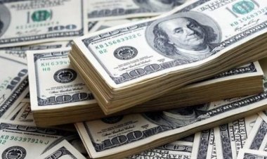 سعر الدولار اليوم في مصر تحديث يوم الجمعة 14/10/2022