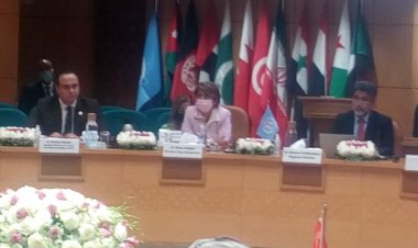 «الصحة العالمية» تشيد بجهود مصر في رئاسة لجنة الخبراء