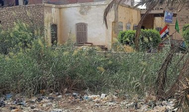 شروخ وتصدعات عديدة.. مدرسة بالمنوفية آيلة للسقوط وتهدد حياة التلاميذ