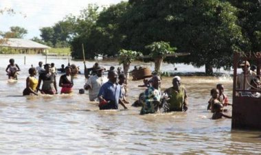 بسبب الفيضانات.. مصرع 500 شخص وتدمير 90 ألف منزل في نيجيريا