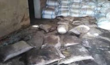 ضبط 15 طن سكر فاسد قبل بيعها في الأسواق بسوهاج