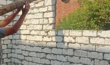 استمرار تنفيذ الحملات اليومية لإزالة مخالفات الأراضي الزراعية بالشرقية