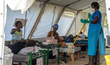 وفاة 36 شخصا و55 إصابة مؤكدة بالكوليرا في هايتي