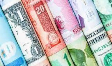 تباين مؤشر عملات الأسواق الناشئة خلال الأسبوع الماضي 