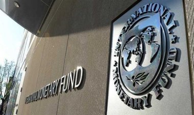 النقد الدولي يحث على تمويل إفريقيا مع اقتراب مؤتمر «كوب 27» في مصر