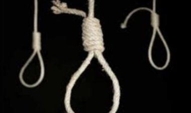 الإعدام شنقا لقاتلة طفلتيها بالشرقية.. وضعت لهما السم في اللبن