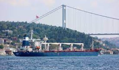 الدفاع التركي: تصدير 7 ملايين و700 ألف طنّ من الحبوب خلال 3 أشهر