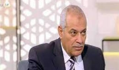 رئيس شعبة الدواجن: الإعدام لـ الكتاكيت الحل لأزمة الأعلاف.. ورقابة المصانع لابد منها (خاص)