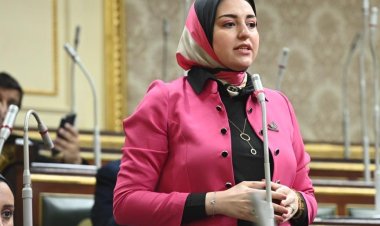 نائبة التنسيقية توافق على منحة لتمويل مشروع «مكتب شكاوى المرأة»