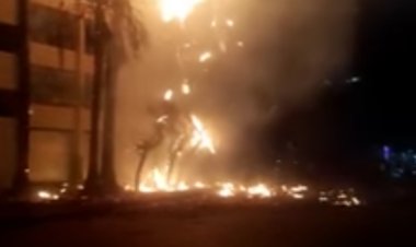 نشوب حريق هائل بأشجار ونخيل بشارع فيصل.. (صور) 