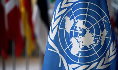 الأمم المتحدة تحتفل بـ«اليوم العالمي للفقر»:  كرامة الإنسان أساس كل الحقوق