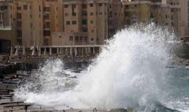 نوات إسكندرية 2023