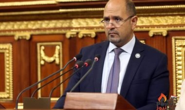 رئيس طاقة النواب: ثلث مساحة مصر مُصنفة محميات طبيعية