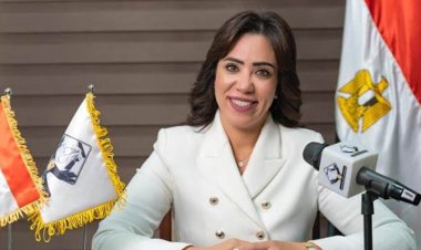 نائبة «التنسيقية» تكشف عن مكاسب قانون المجلس الأعلى لصناعة السيارات