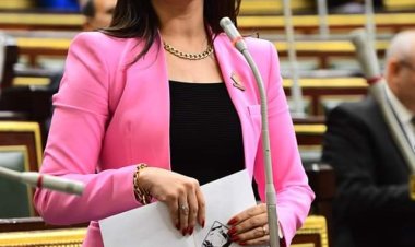 «نائبة التنسيقية» عن قانون «الأعلي للسيارات»: يستهدف توطين الصناعة وزيادة المكون المحلي