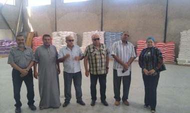 بدء موسم توريد أرز الشعير في بورسعيد