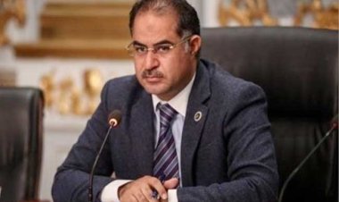 برلماني يطالب بإضافة سيارات التشغيل إلى مشروع قانون منح التيسيرات للمصريين بالخارج