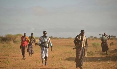 مقتل العشرات من مليشيات الشباب الإرهابية في منطقة حلفولي الصومالية