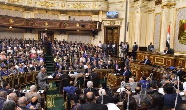 لجنة الزراعة بمجلس الشيوخ تكشف عن خطتها بدور الانعقاد الثالث