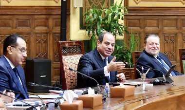 الرئيس السيسي يستقبل وفدا من رجال الأعمال والمستثمرين المصريين