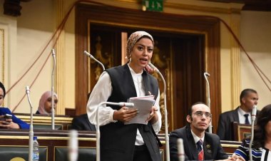 في طلب إحاطة لوزير التعليم.. برلمانية: «هناك مدارس آيلة للسقوط.. والحوادث مؤسفة»