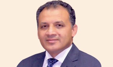 محمد فايز فرحات يكشف عن أحدث التطورات بشأن الحوار الوطني