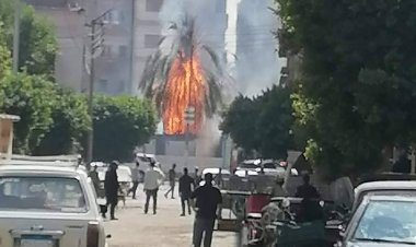 نشوب حريق في أشجار نخيل بجوار محطة سكك حديد نجع حمادي