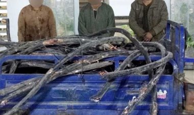 ضبط تشكيل عصابي لسرقتهم محولات كهرباء بالشرقية